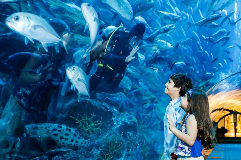 SeaWorld Abu Dhabi Tickets and Park Experiences: A Visitor’s Guide